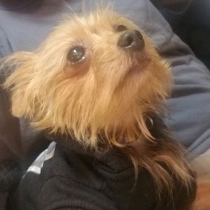 Meet your Posher, Jesse